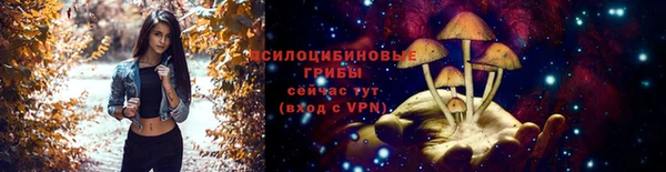 ПСИЛОЦИБИНОВЫЕ ГРИБЫ Алексин