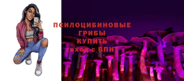 ПСИЛОЦИБИНОВЫЕ ГРИБЫ Алексин