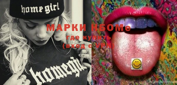 крисы Сатка