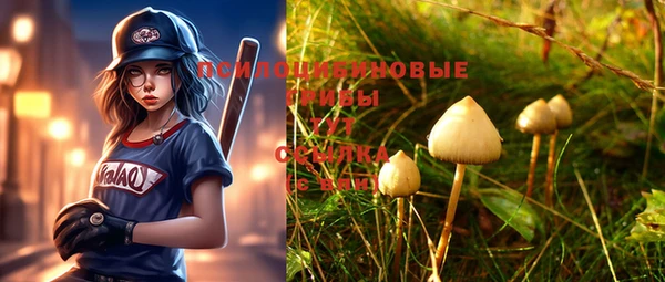 спиды Абинск