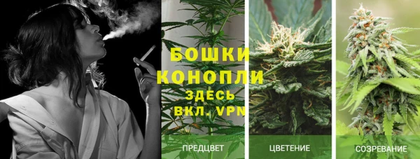 крисы Сатка