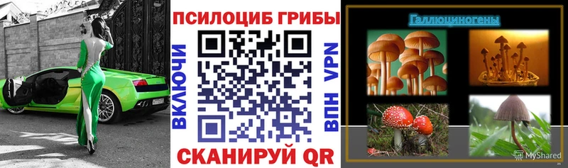 дарк нет Telegram  Вичуга  Псилоцибиновые грибы Psilocybe  цена наркотик 