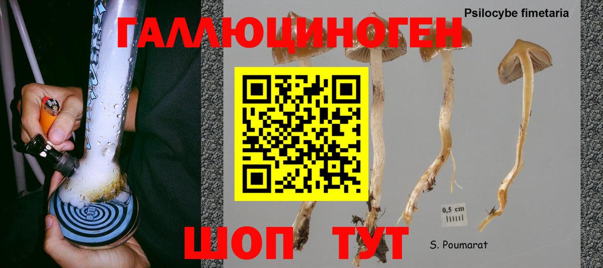 Галлюциногенные грибы Cubensis Вичуга