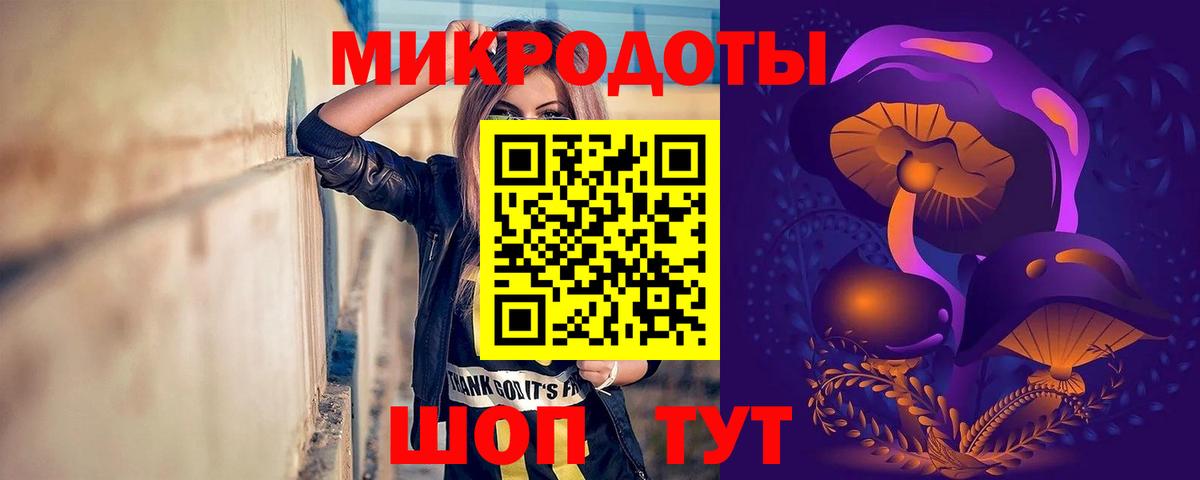 купить наркотик  Вход с VPN  Псилоцибиновые грибы GOLDEN TEACHER  Вичуга  Галлюциногенные грибы прущие грибы 